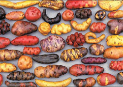 Памятники и скульптуры посвященные картошке Памятники и скульптуры посвященные картошке