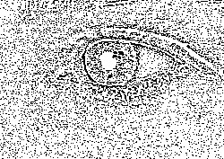 Вы дарите нам «чудо обретения себя прежних» Вы дарите нам «чудо обретения себя прежних»