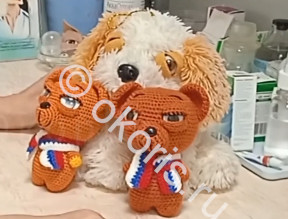 Маша и Миша - подарки нашим маленьким пациентам Маша и Миша - подарки нашим маленьким пациентам