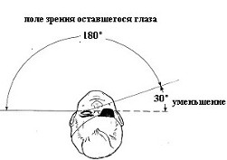Адаптация к монокулярному зрению Адаптация к монокулярному зрению