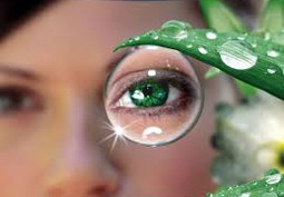 Психофизиологическая коррекция зрения Психофизиологическая коррекция зрения