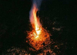 Скоро стану как все Скоро стану как все