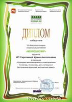Диплом победителя конкурса "Меняющие мир"