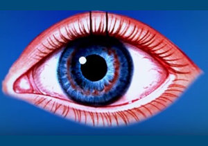 Видео о строении глаза человека Видео о строении глаза человека