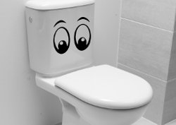 Игорь Иртеньев, «Уронил я в унитаз…» Игорь Иртеньев, «Уронил я в унитаз…»