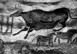 Жизнь продолжается и с одним глазом Жизнь продолжается и с одним глазом